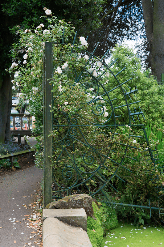 Eel Pie Island and York House Gardens by Stephanie Sadler, Little Observationist