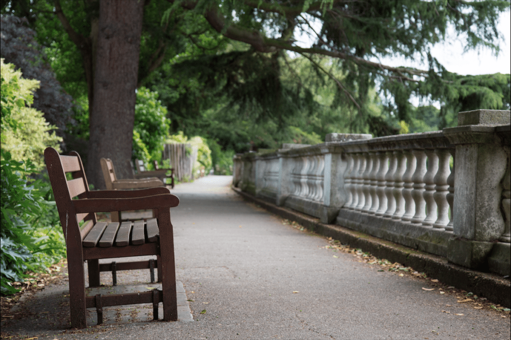 Eel Pie Island and York House Gardens by Stephanie Sadler, Little Observationist