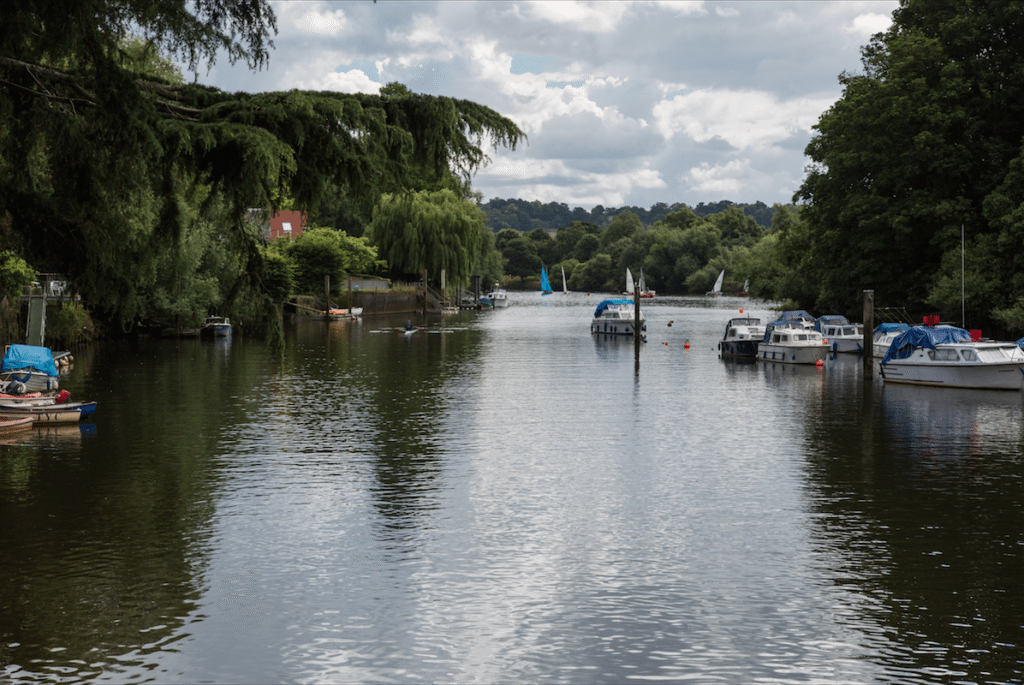 Eel Pie Island and York House Gardens by Stephanie Sadler, Little Observationist