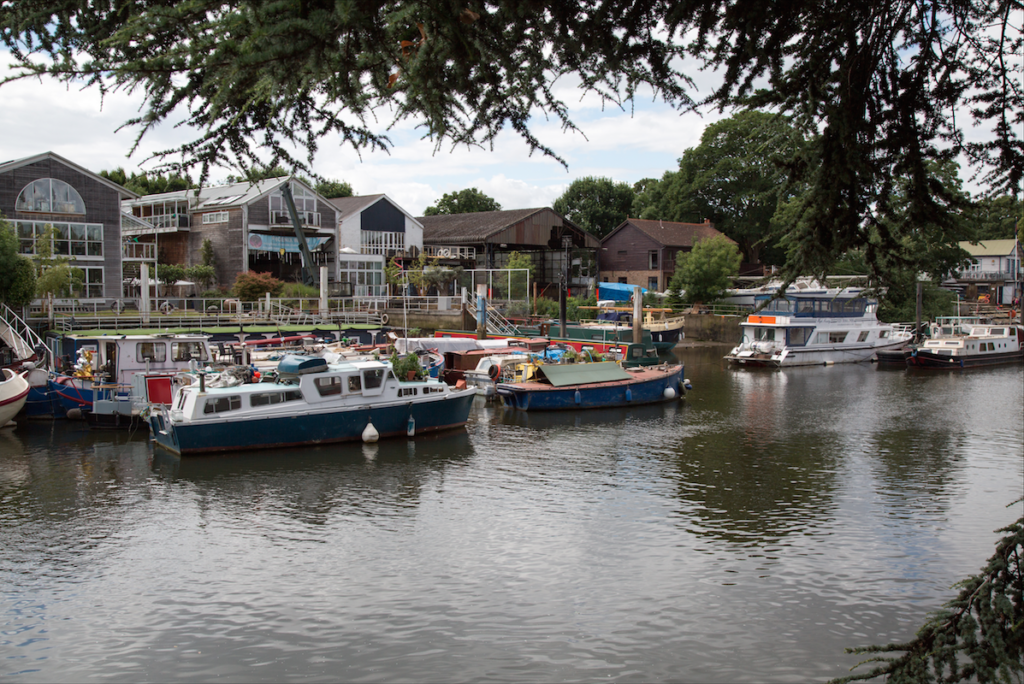 Eel Pie Island and York House Gardens by Stephanie Sadler, Little Observationist