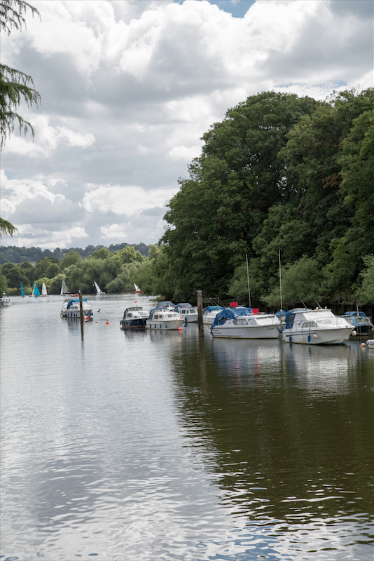 Eel Pie Island and York House Gardens by Stephanie Sadler, Little Observationist