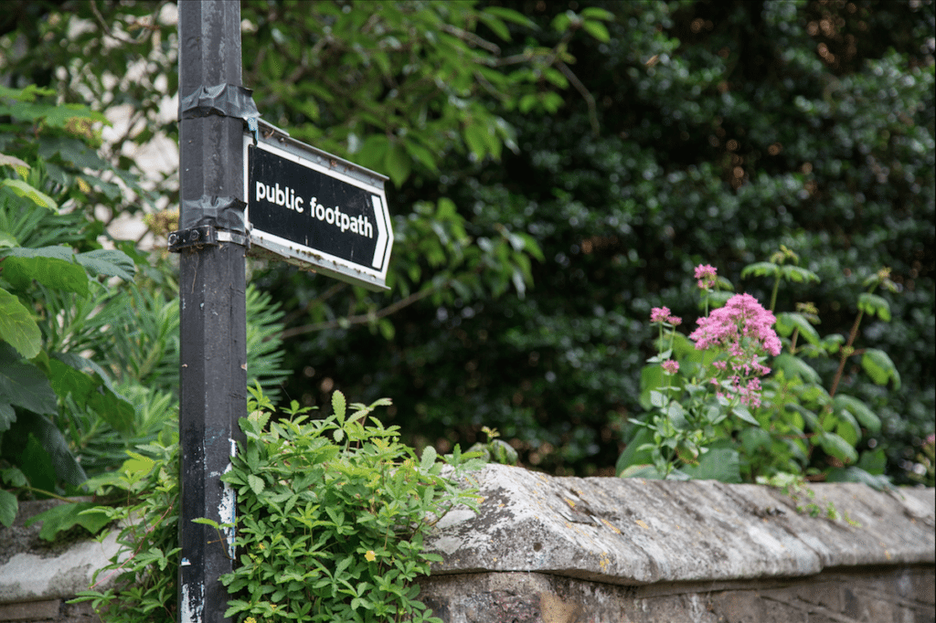 Eel Pie Island and York House Gardens by Stephanie Sadler, Little Observationist