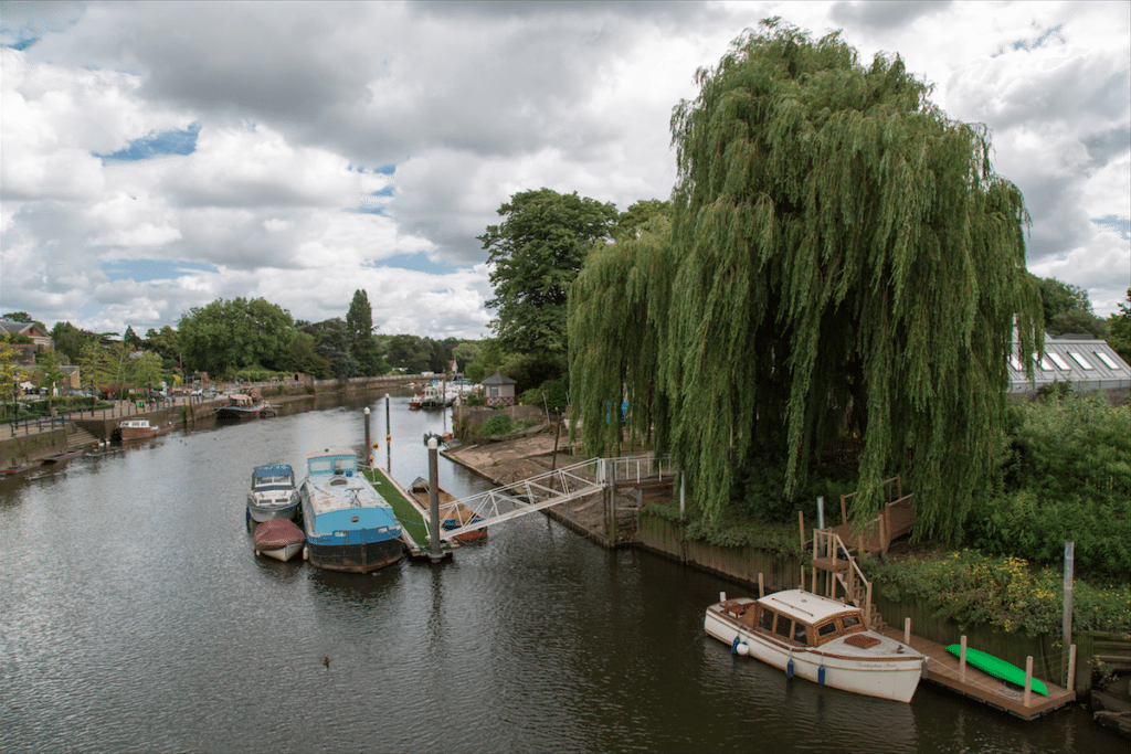 Eel Pie Island and York House Gardens by Stephanie Sadler, Little Observationist