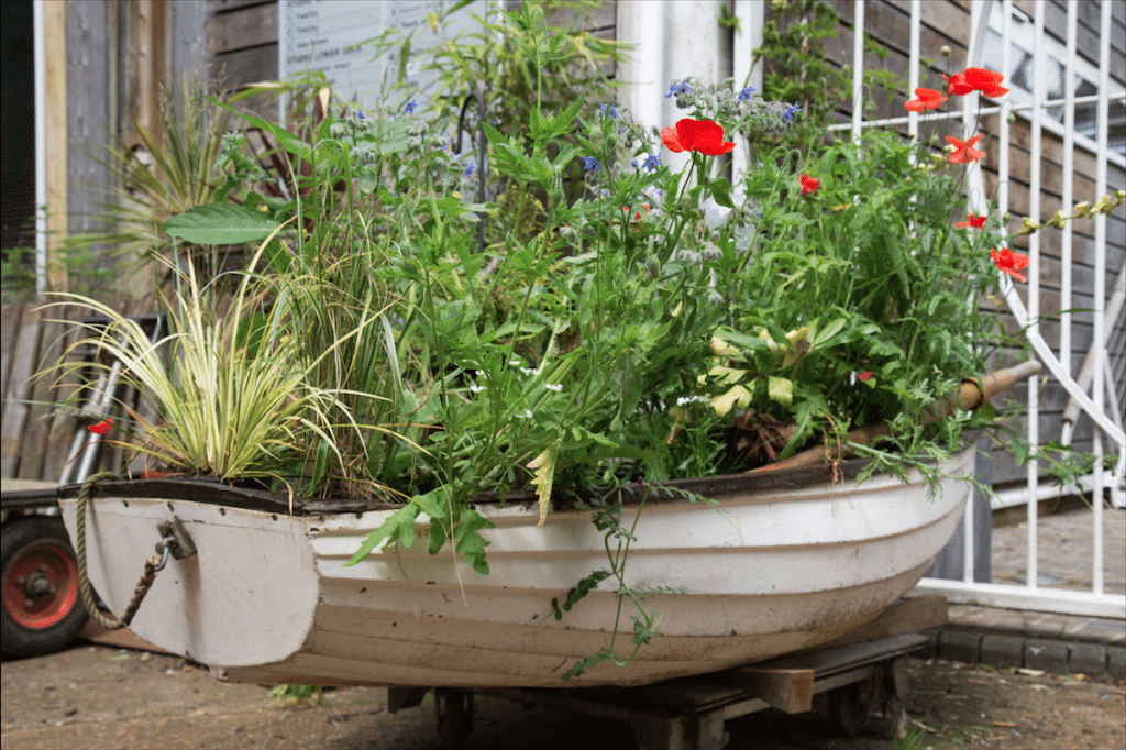 Eel Pie Island and York House Gardens by Stephanie Sadler, Little Observationist