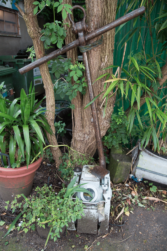 Eel Pie Island and York House Gardens by Stephanie Sadler, Little Observationist