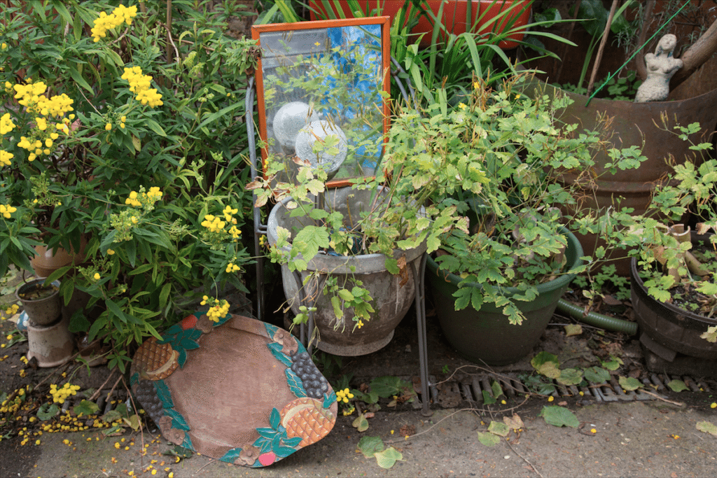 Eel Pie Island and York House Gardens by Stephanie Sadler, Little Observationist