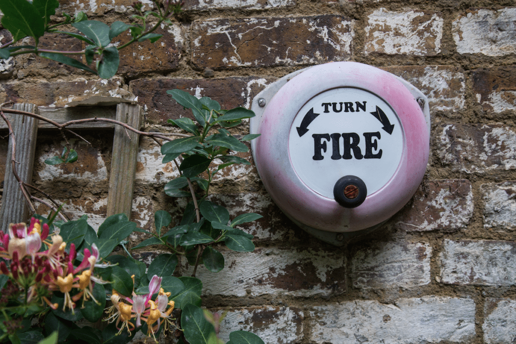 Eel Pie Island and York House Gardens by Stephanie Sadler, Little Observationist