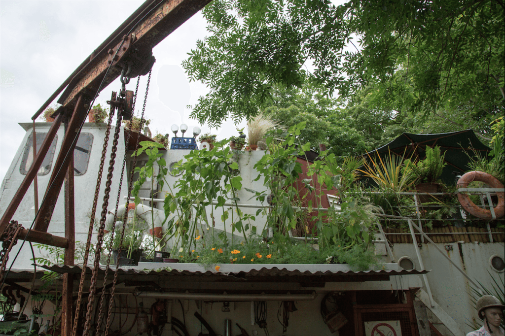 Eel Pie Island and York House Gardens by Stephanie Sadler, Little Observationist