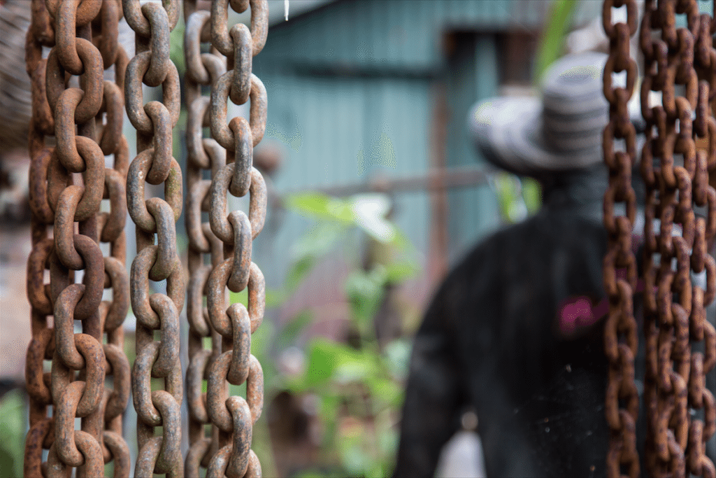 Eel Pie Island and York House Gardens by Stephanie Sadler, Little Observationist