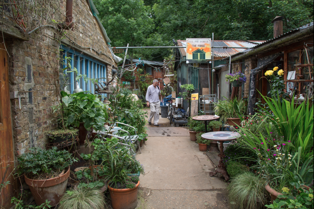 Eel Pie Island and York House Gardens by Stephanie Sadler, Little Observationist