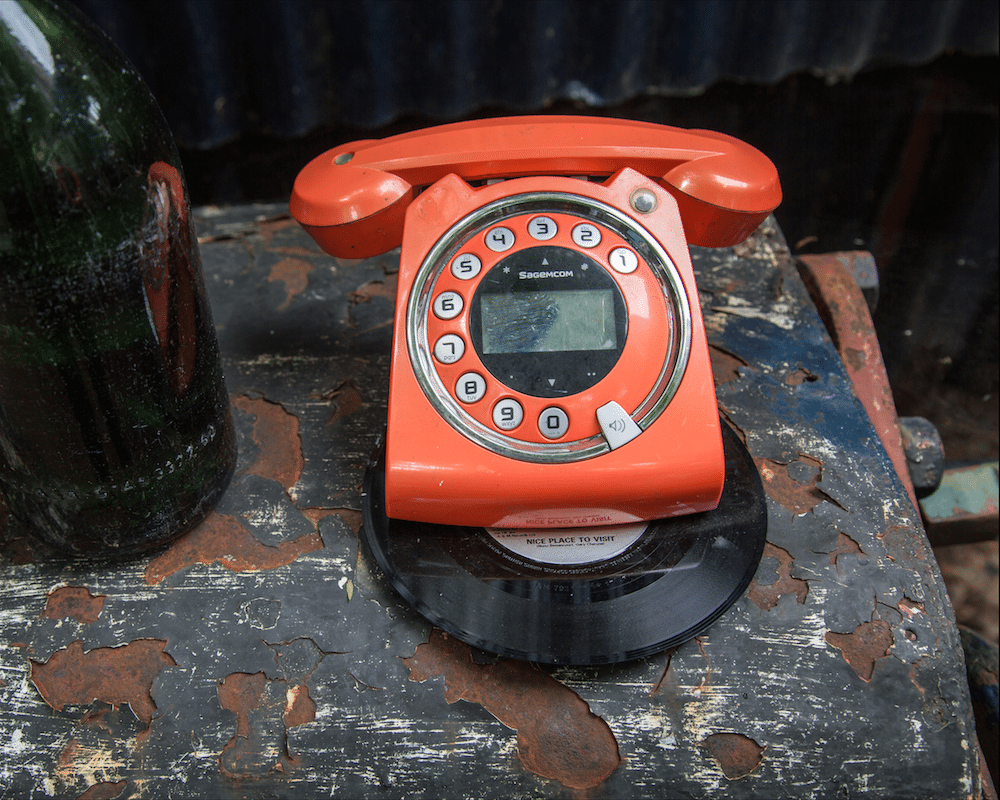 Eel Pie Island and York House Gardens by Stephanie Sadler, Little Observationist