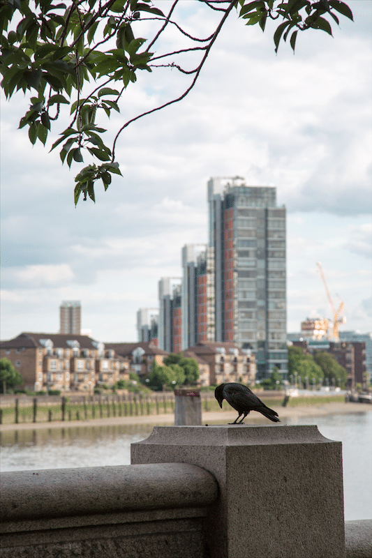 A London Walk from South Kensington to World's End by Stephanie Sadler, Little Observationist