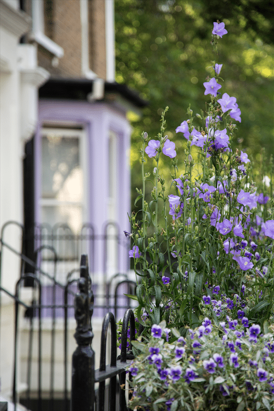 A London Walk from South Kensington to World's End by Stephanie Sadler, Little Observationist