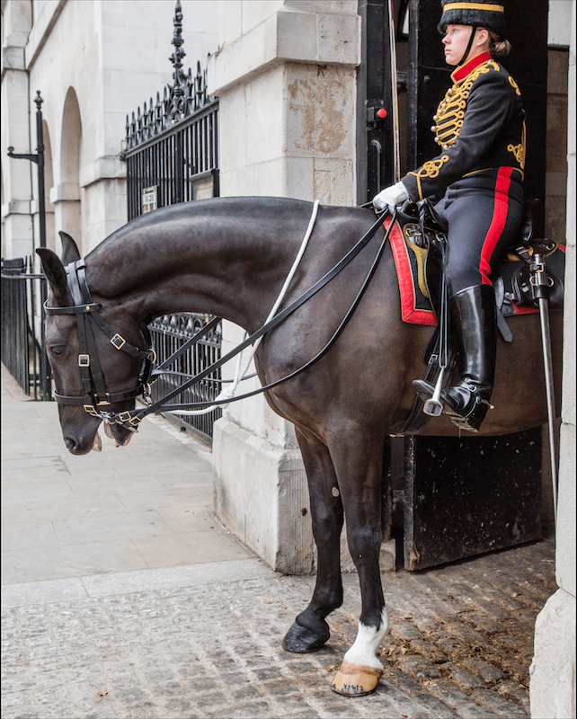 Exploring Central London by Stephanie Sadler, Little Observationist