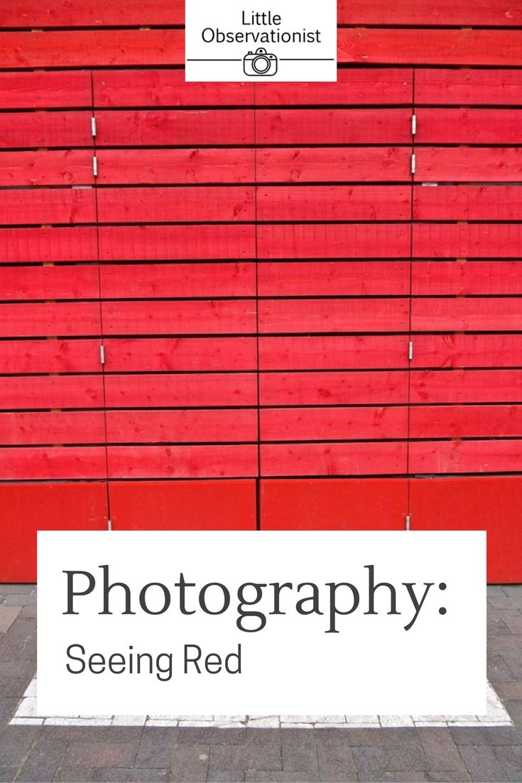 Red Photography by Stephanie Sadler, Little Observationist