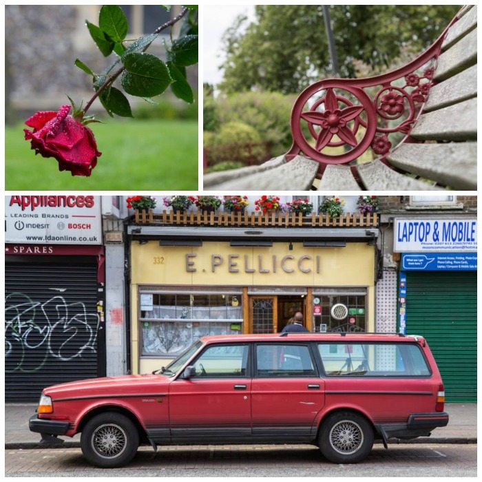 Red Photography by Stephanie Sadler, Little Observationist