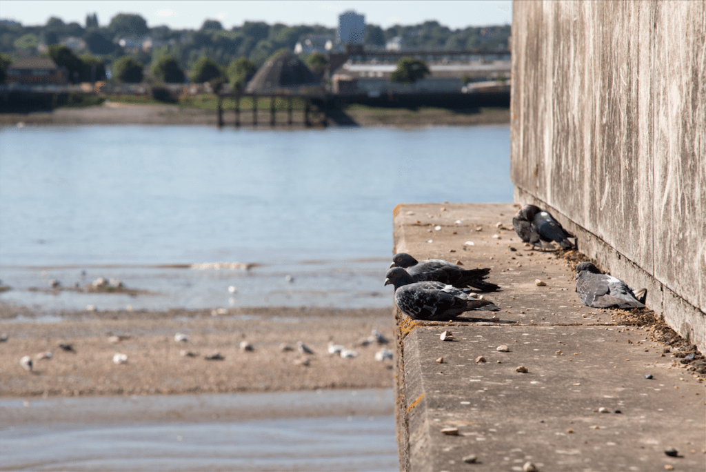 The Thames Barrier, London and Farmopolis by Stephanie Sadler, Little Observationist