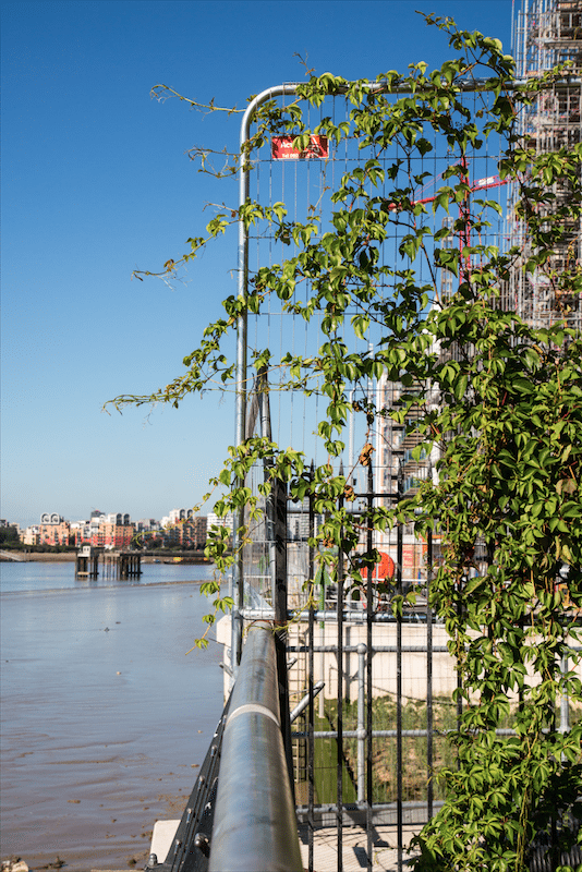 The Thames Barrier, London and Farmopolis by Stephanie Sadler, Little Observationist
