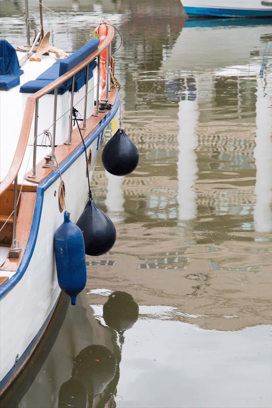 Battersea Park and Imperial Wharf by Stephanie Sadler, Little Observationist