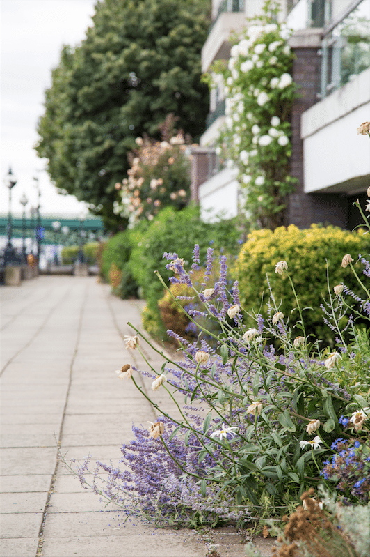 Battersea Park and Imperial Wharf by Stephanie Sadler, Little Observationist