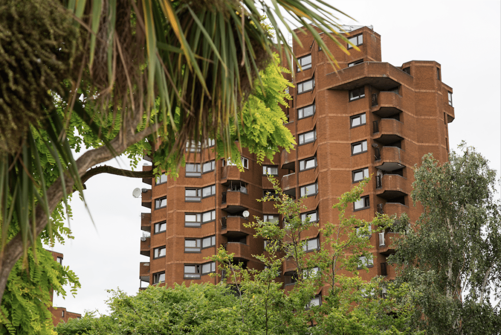 Battersea Park and Imperial Wharf by Stephanie Sadler, Little Observationist