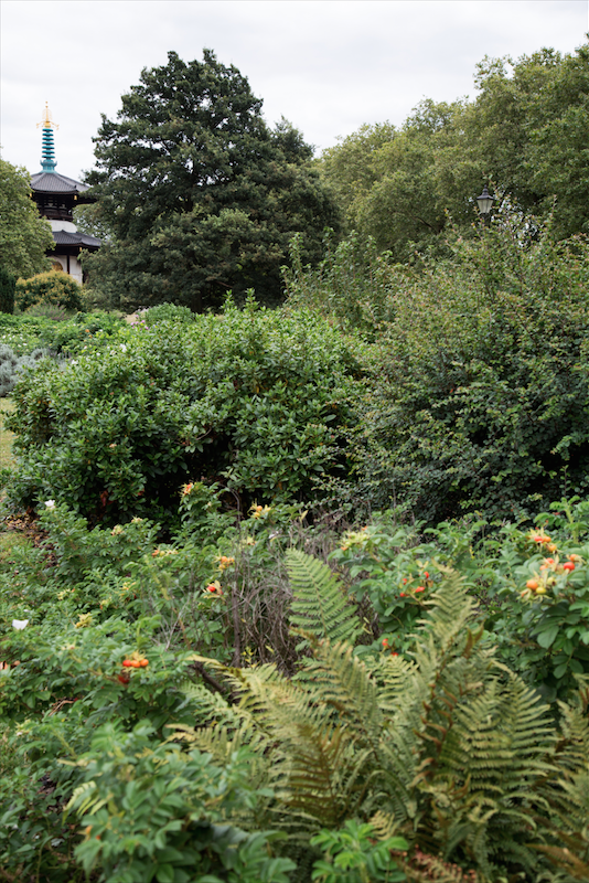 Battersea Park and Imperial Wharf by Stephanie Sadler, Little Observationist