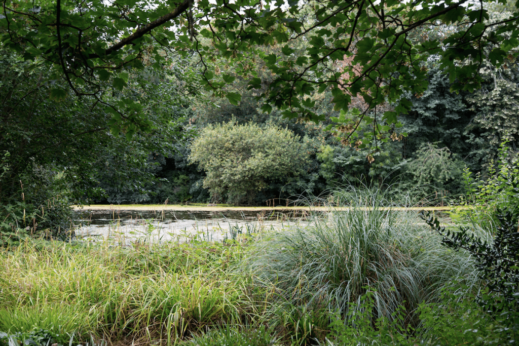 Battersea Park and Imperial Wharf by Stephanie Sadler, Little Observationist