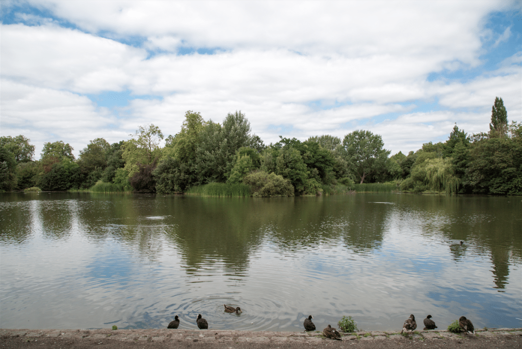 Battersea Park and Imperial Wharf by Stephanie Sadler, Little Observationist