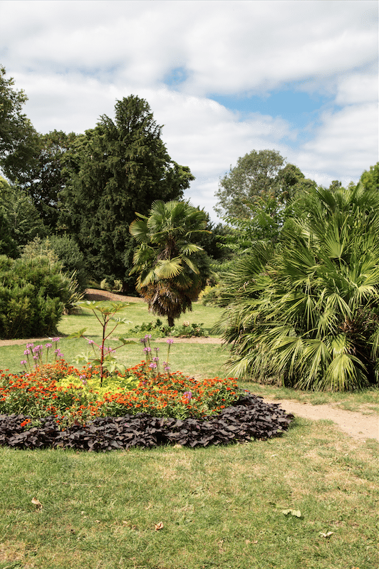 Battersea Park and Imperial Wharf by Stephanie Sadler, Little Observationist