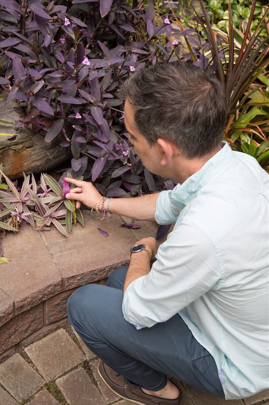 Buffalo Botanical Gardens by Stephanie Sadler, Little Observationist