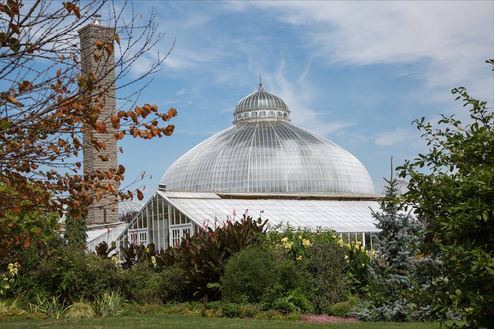 Buffalo Botanical Gardens by Stephanie Sadler, Little Observationist