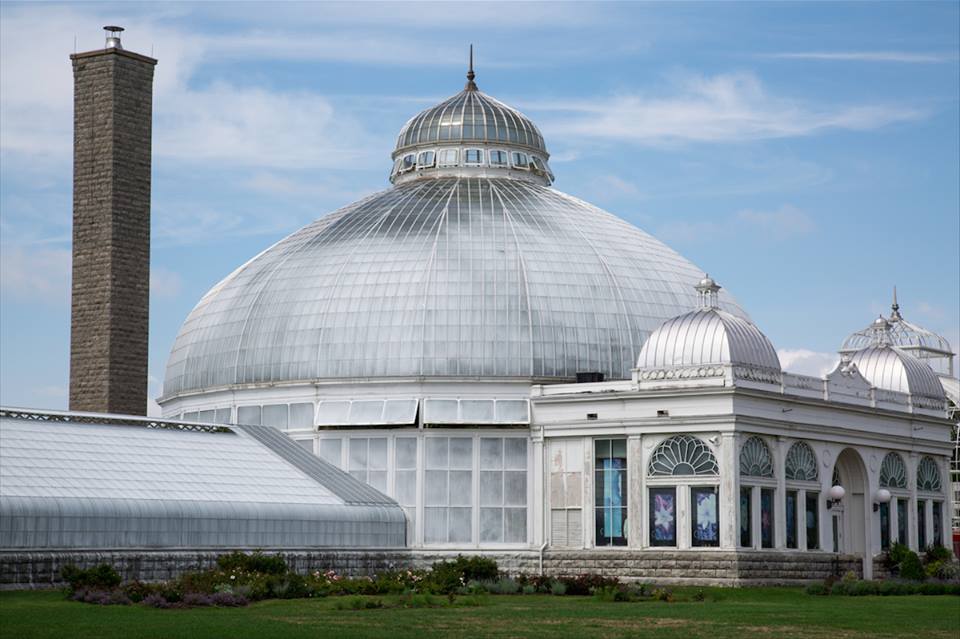 Buffalo Botanical Gardens by Stephanie Sadler, Little Observationist