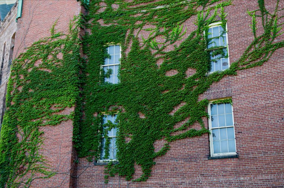 The Richardson Olmsted Complex, Buffalo, New York by Stephanie Sadler, Little Observationist