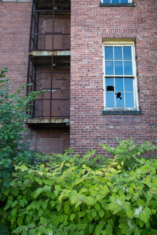 The Richardson Olmsted Complex, Buffalo, New York by Stephanie Sadler, Little Observationist