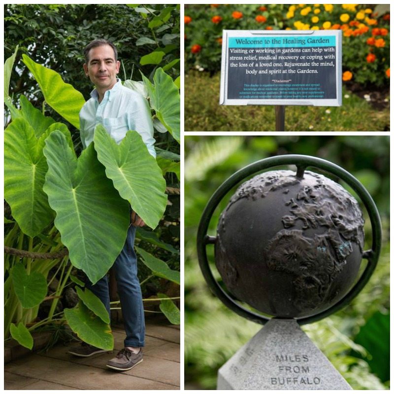 Buffalo Botanical Gardens by Stephanie Sadler, Little Observationist