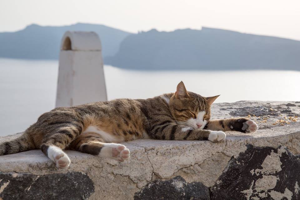 Oia, Santorini, Greece by Stephanie Sadler, Little Observationist