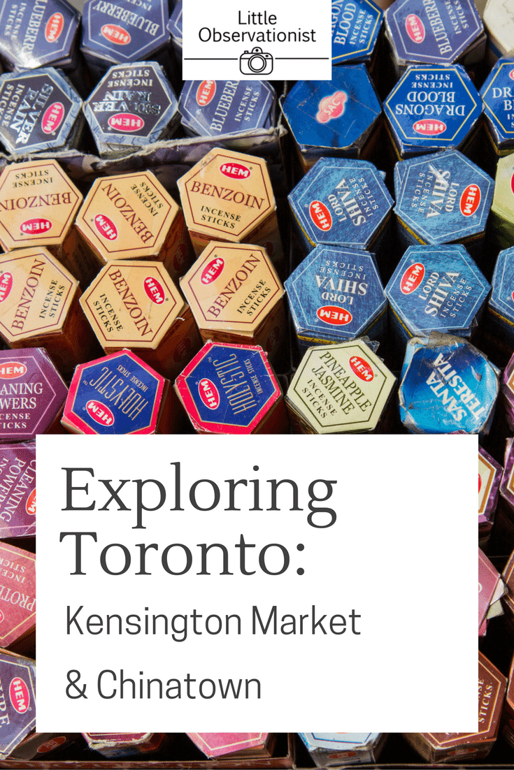 Exploring Toronto by Stephanie Sadler, Little Observationist