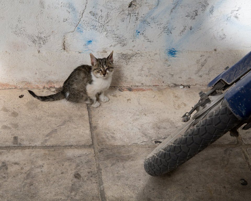 Fira, Santorini, Greece by Stephanie Sadler, Little Observationist