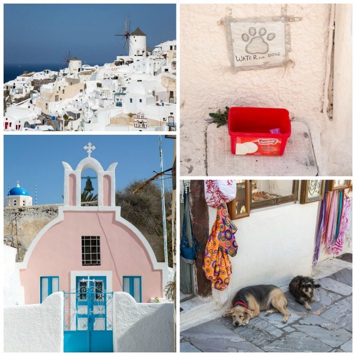 Oia, Santorini, Greece by Stephanie Sadler, Little Observationist