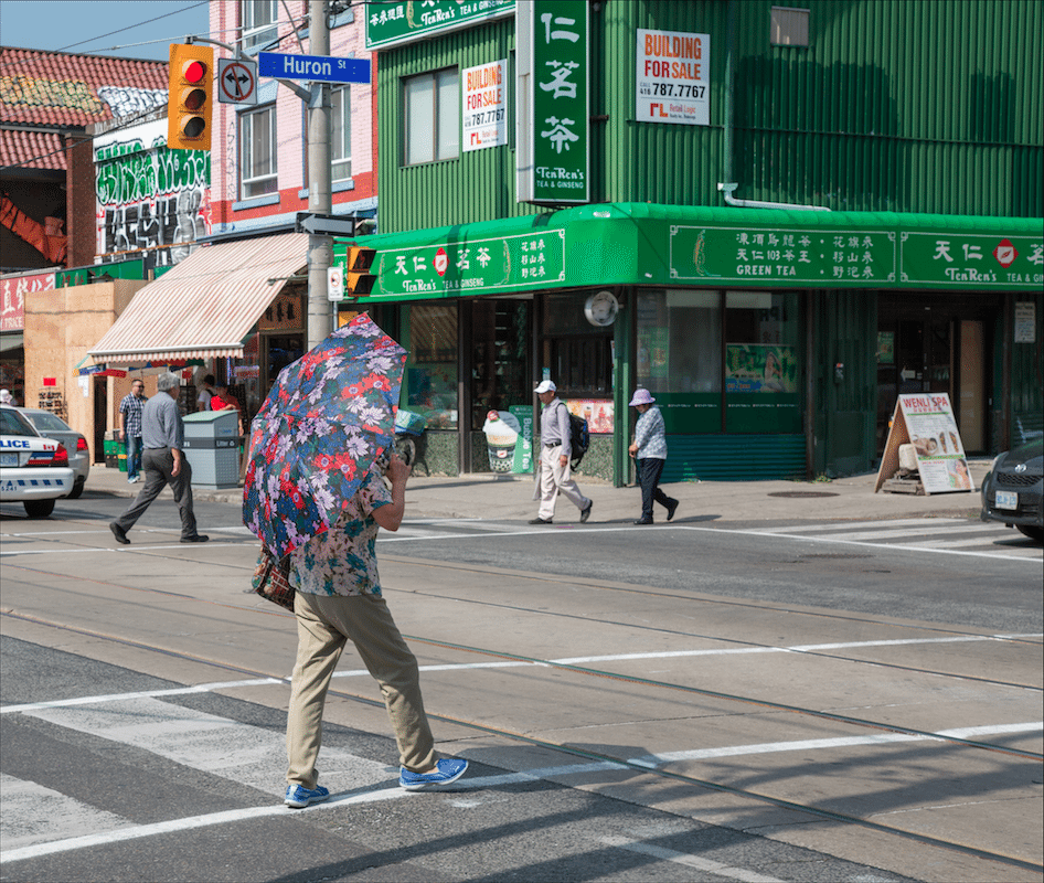 Toronto by Stephanie Sadler, Little Observationist