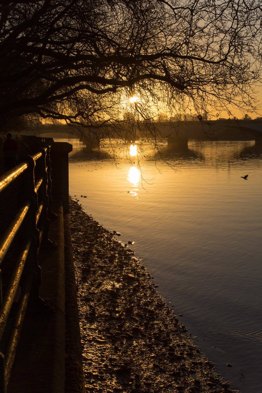 A London Winter Sunrise in Bishops Park by Stephanie Sadler, Little Observationist