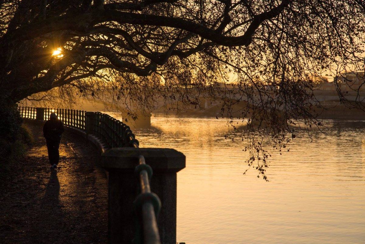 A London Winter Sunrise in Bishops Park by Stephanie Sadler, Little Observationist