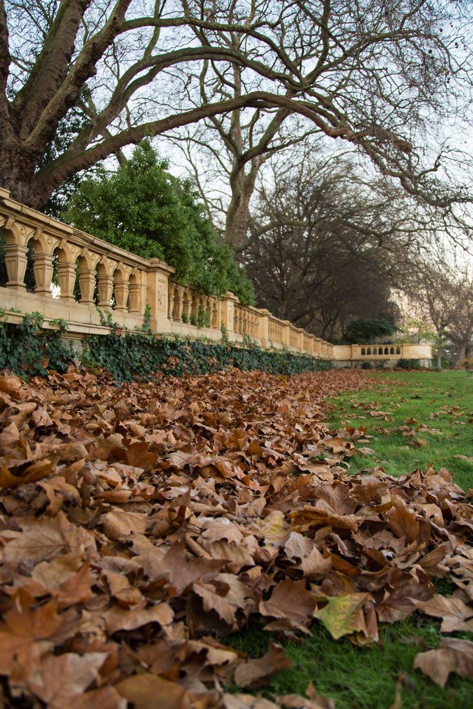 A London Winter Sunrise in Bishops Park by Stephanie Sadler, Little Observationist