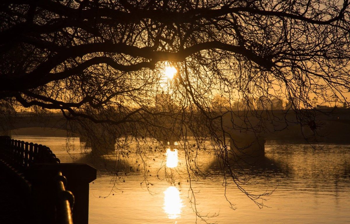 A London Winter Sunrise in Bishops Park by Stephanie Sadler, Little Observationist