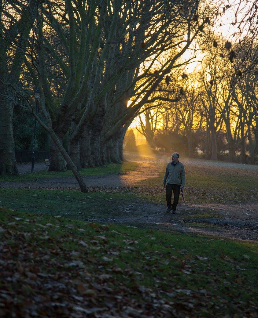 A London Winter Sunrise in Bishops Park by Stephanie Sadler, Little Observationist