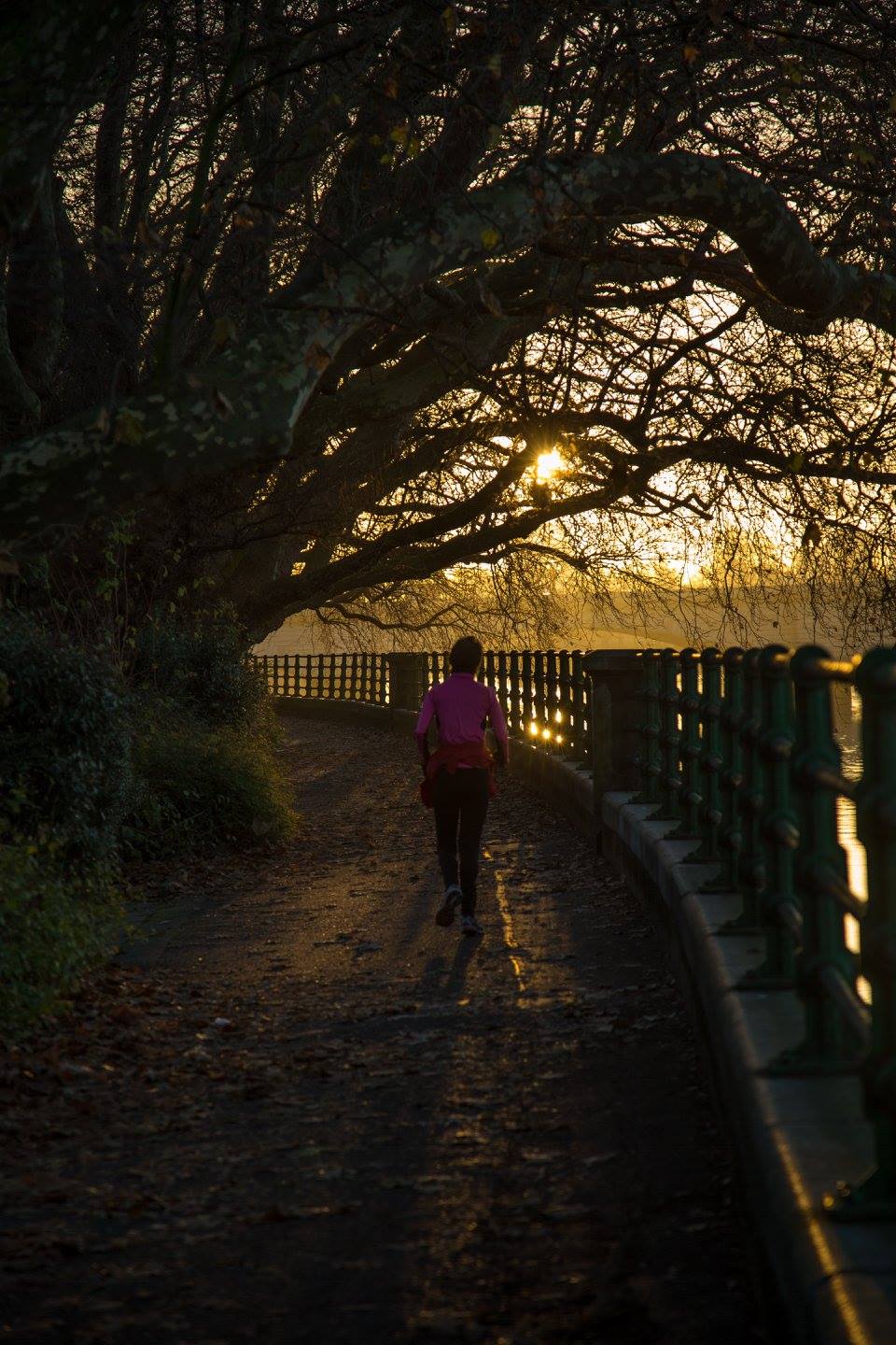 A London Winter Sunrise in Bishops Park by Stephanie Sadler, Little Observationist