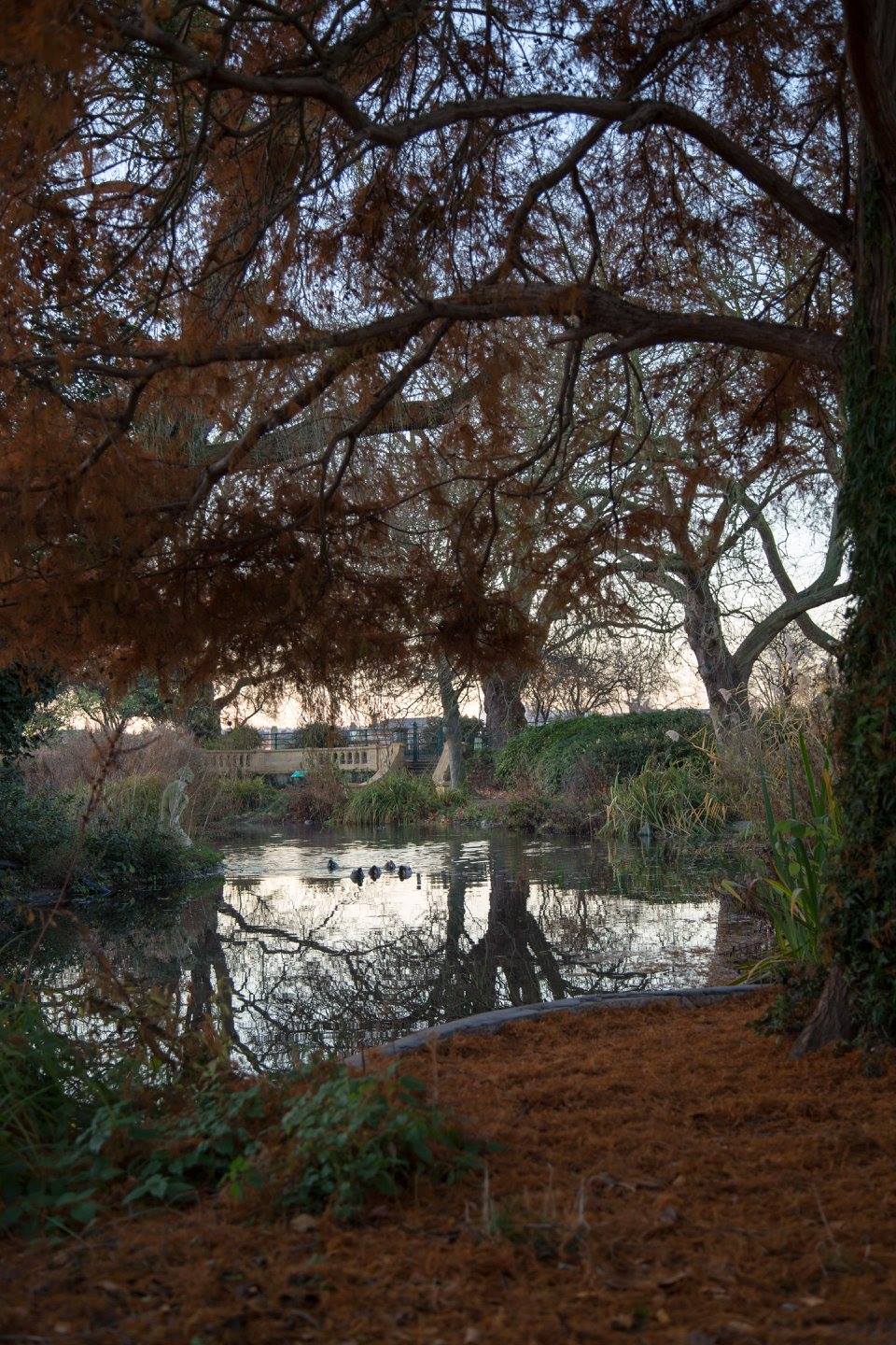 A London Winter Sunrise in Bishops Park by Stephanie Sadler, Little Observationist