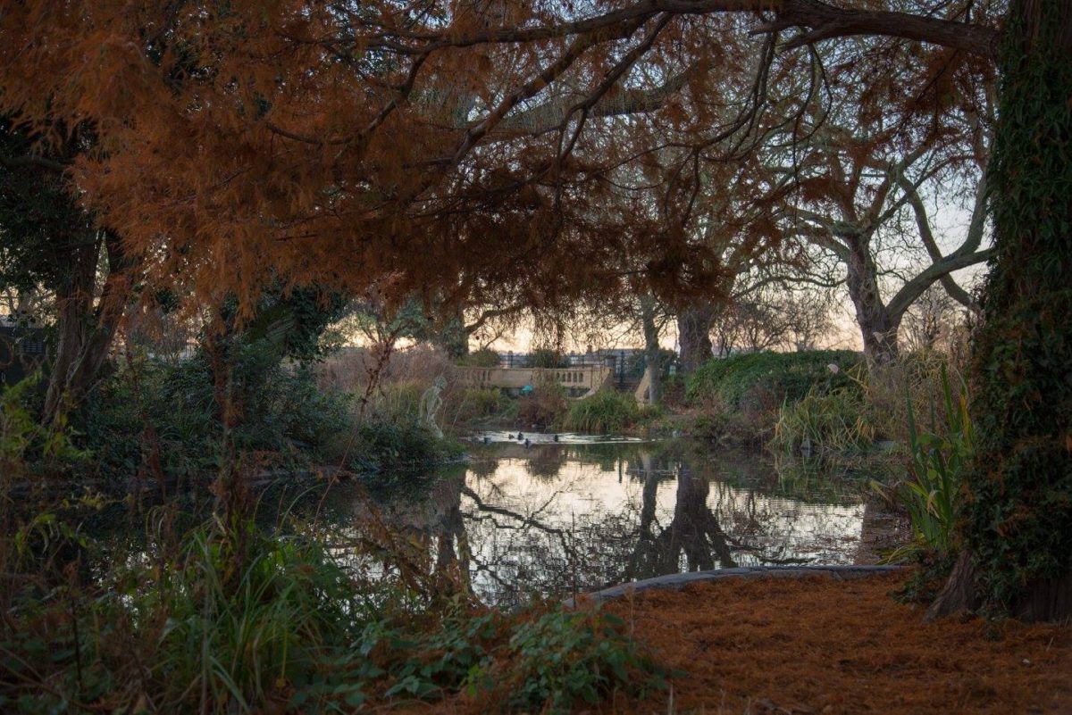 A London Winter Sunrise in Bishops Park by Stephanie Sadler, Little Observationist