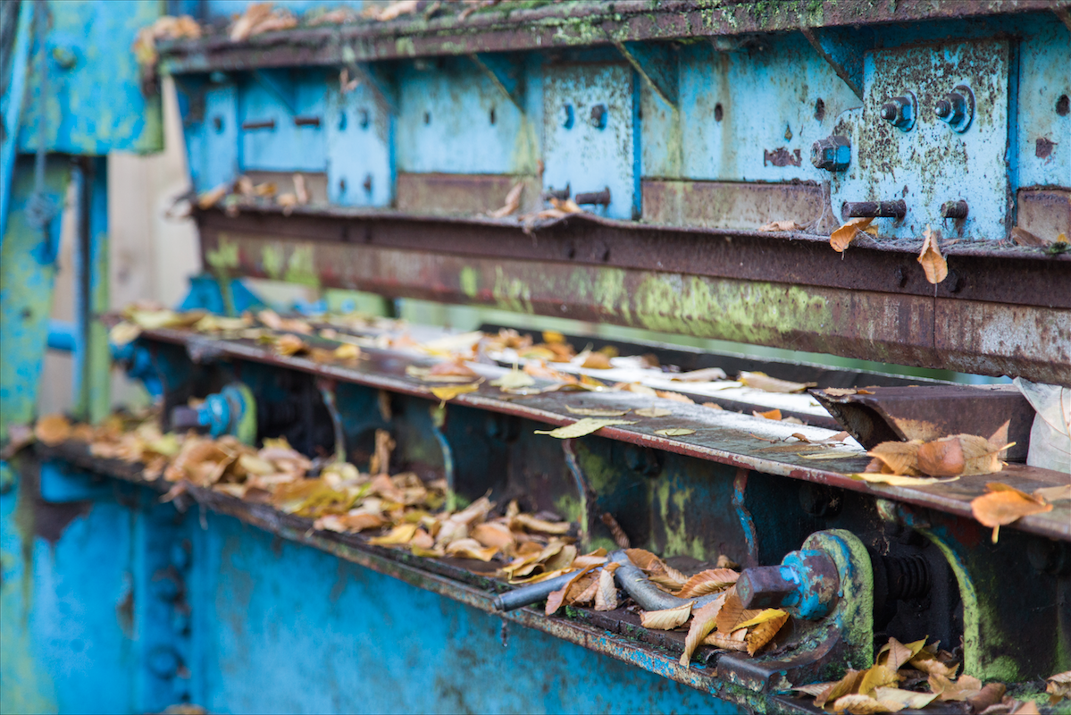 Eel Pie Island, London, by Stephanie Sadler, Little Observationist