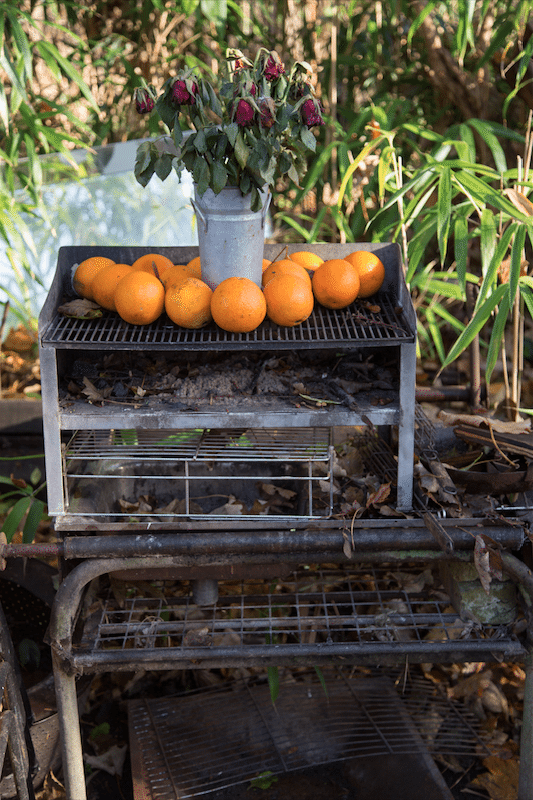 Eel Pie Island, London, by Stephanie Sadler, Little Observationist